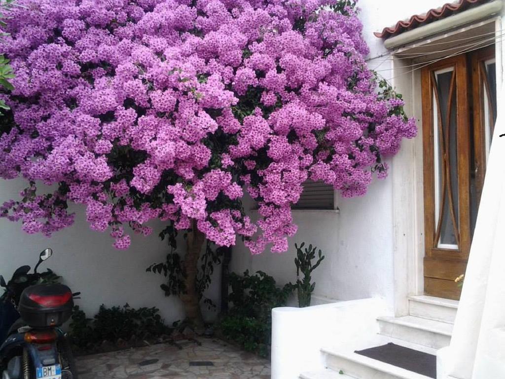 Villa Lea Viareggio Pokój zdjęcie